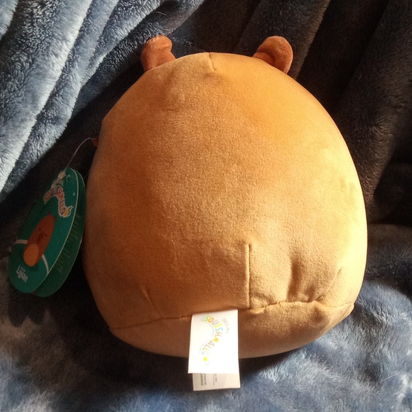 "Lijjian" Capybara Squishmallow - Picture 3 of 5